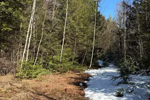 4 Bog Brook Loop, West Paris, ME 04289 - Photo 1