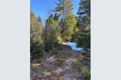 7 Bog Brook Loop, West Paris, ME 04289 - Photo 2