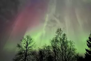 162 Island Rd, Saint Agatha, ME 04772 - Photo 52