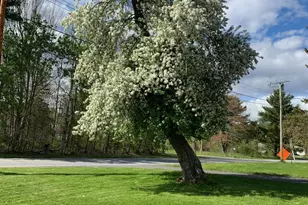 91 Pierce Rd, Brewer, ME 04412 - Photo 14