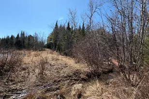 442 W Broadway, Lincoln, ME 04457 - Photo 18