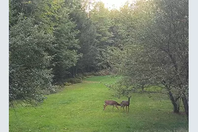 1150 Lakewood Road, Madison, ME 04950 - Photo 26