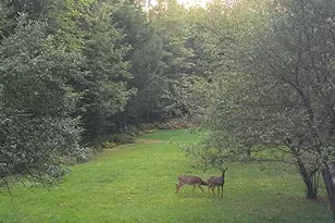 1150 Lakewood Rd, Madison, ME 04950 - Photo 26