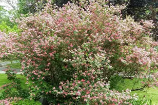 71 Upper-Charleston Rd, Charleston, ME 04422 - Photo 132