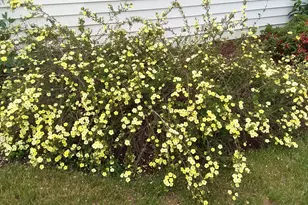 71 Upper-Charleston Rd, Charleston, ME 04422 - Photo 150