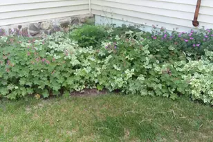 71 Upper-Charleston Rd, Charleston, ME 04422 - Photo 178