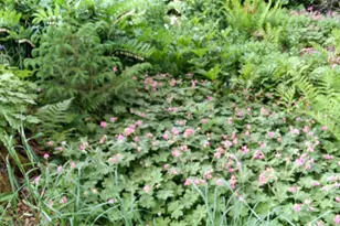 71 Upper-Charleston Rd, Charleston, ME 04422 - Photo 122