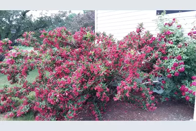 71 Upper-Charleston Road, Charleston, ME 04422 - Photo 180