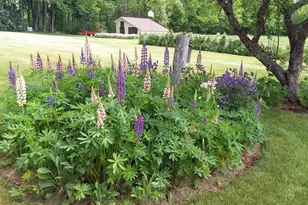 71 Upper-Charleston Rd, Charleston, ME 04422 - Photo 140