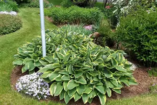 71 Upper-Charleston Rd, Charleston, ME 04422 - Photo 14