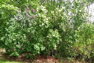 71 Upper-Charleston Rd, Charleston, ME 04422 - Photo 124