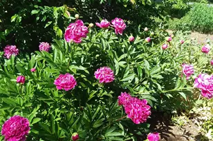 71 Upper-Charleston Rd, Charleston, ME 04422 - Photo 168