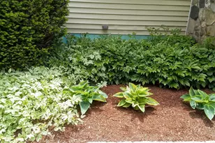 71 Upper-Charleston Rd, Charleston, ME 04422 - Photo 144