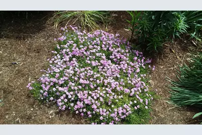 71 Upper-Charleston Road, Charleston, ME 04422 - Photo 130