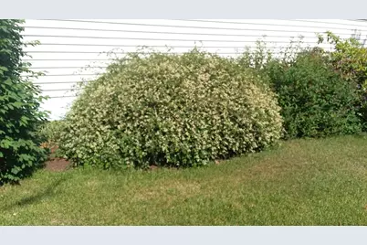 71 Upper-Charleston Road, Charleston, ME 04422 - Photo 176