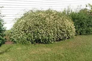 71 Upper-Charleston Rd, Charleston, ME 04422 - Photo 176