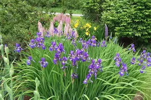 71 Upper-Charleston Rd, Charleston, ME 04422 - Photo 154