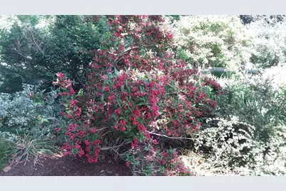 71 Upper-Charleston Road, Charleston, ME 04422 - Photo 174