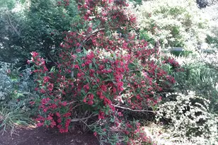 71 Upper-Charleston Rd, Charleston, ME 04422 - Photo 174