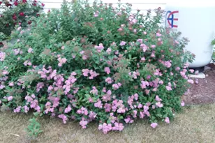 71 Upper-Charleston Rd, Charleston, ME 04422 - Photo 182