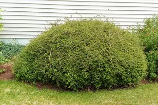 71 Upper-Charleston Rd, Charleston, ME 04422 - Photo 138