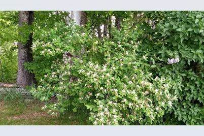 71 Upper-Charleston Road, Charleston, ME 04422 - Photo 120