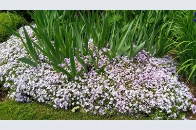 71 Upper-Charleston Road, Charleston, ME 04422 - Photo 22