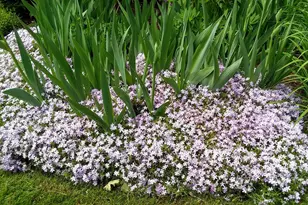 71 Upper-Charleston Rd, Charleston, ME 04422 - Photo 22