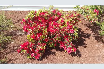 71 Upper-Charleston Road, Charleston, ME 04422 - Photo 112