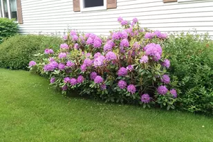 71 Upper-Charleston Rd, Charleston, ME 04422 - Photo 146