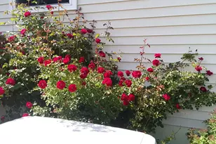 71 Upper-Charleston Rd, Charleston, ME 04422 - Photo 164