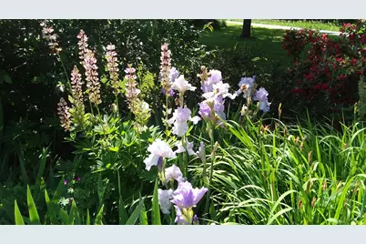 71 Upper-Charleston Road, Charleston, ME 04422 - Photo 170