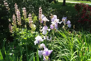 71 Upper-Charleston Rd, Charleston, ME 04422 - Photo 170