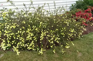 71 Upper-Charleston Rd, Charleston, ME 04422 - Photo 16