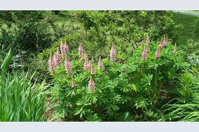 71 Upper-Charleston Road, Charleston, ME 04422 - Photo 128