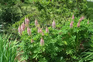 71 Upper-Charleston Rd, Charleston, ME 04422 - Photo 128