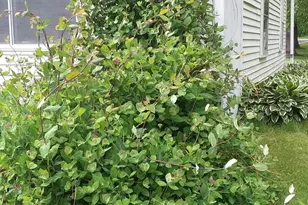 71 Upper-Charleston Rd, Charleston, ME 04422 - Photo 152