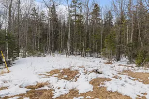 3 New England Rd, Abbot, ME 04406 - Photo 18