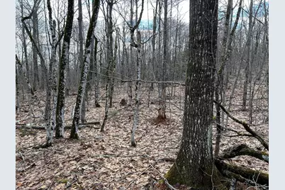 Map8Lot6 Cmp, Prospect, ME 04981 - Photo 34