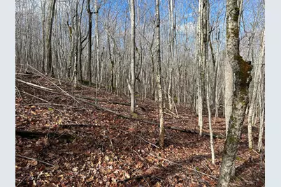 Map8Lot6 Cmp, Prospect, ME 04981 - Photo 12