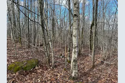 Map8Lot6 Cmp, Prospect, ME 04981 - Photo 6