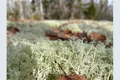 Map8Lot6 Cmp, Prospect, ME 04981 - Photo 32