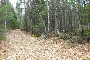 217 Troy Rd, Detroit, ME 04929 - Photo 36