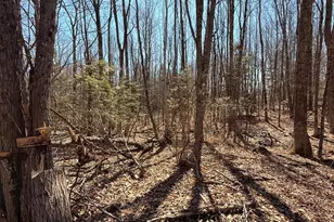 186 Transalpine Rd, Lincoln, ME 04457 - Photo 26