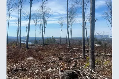 Tbd Deer Hill Road, Harrison, ME 04040 - Photo 10