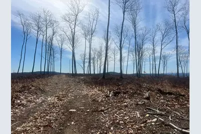 Tbd Deer Hill Road, Harrison, ME 04040 - Photo 12