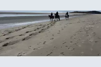 823 Popham Road, Phippsburg, ME 04562 - Photo 64