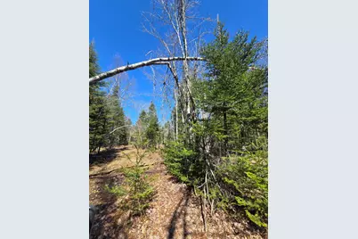 00 Chadbourne Road, Harmony, ME 04942 - Photo 14