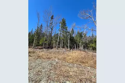 00 Chadbourne Road, Harmony, ME 04942 - Photo 8