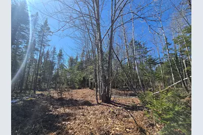 00 Chadbourne Road, Harmony, ME 04942 - Photo 4